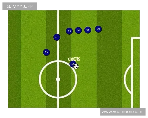 赛后分析：北京飞盘队与杭州飞盘队的实力对决与战术解析