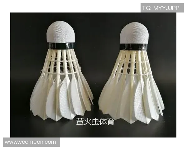 黄敏独家分享羽毛球技巧与心得助你提升球技的秘密武器