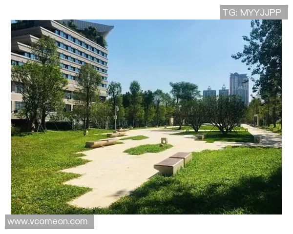 深圳与上海极限运动队赛后复盘团队协作的成功与不足分析