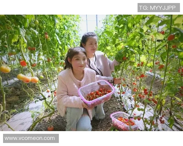 果园采摘乐趣体验之旅 感受自然丰收的喜悦与美好时光