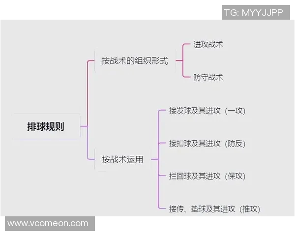 排球盛宴:深入分析西安排球队的快速战术与技巧 排球盛宴:深入分析西安排球队的快速战术与技巧